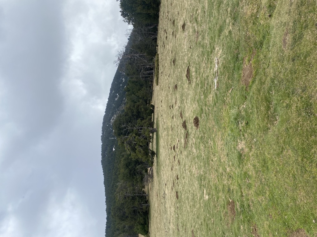 Photo №3 of Coll d'Ordino