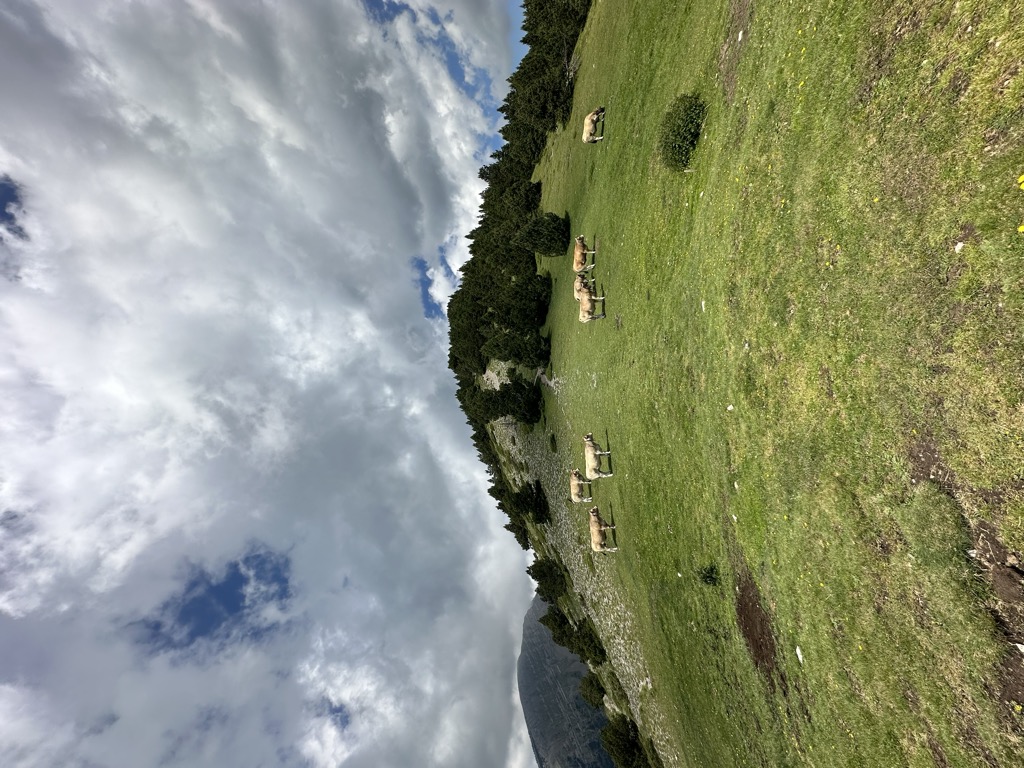 Photo №2 of Coll de la Moixa