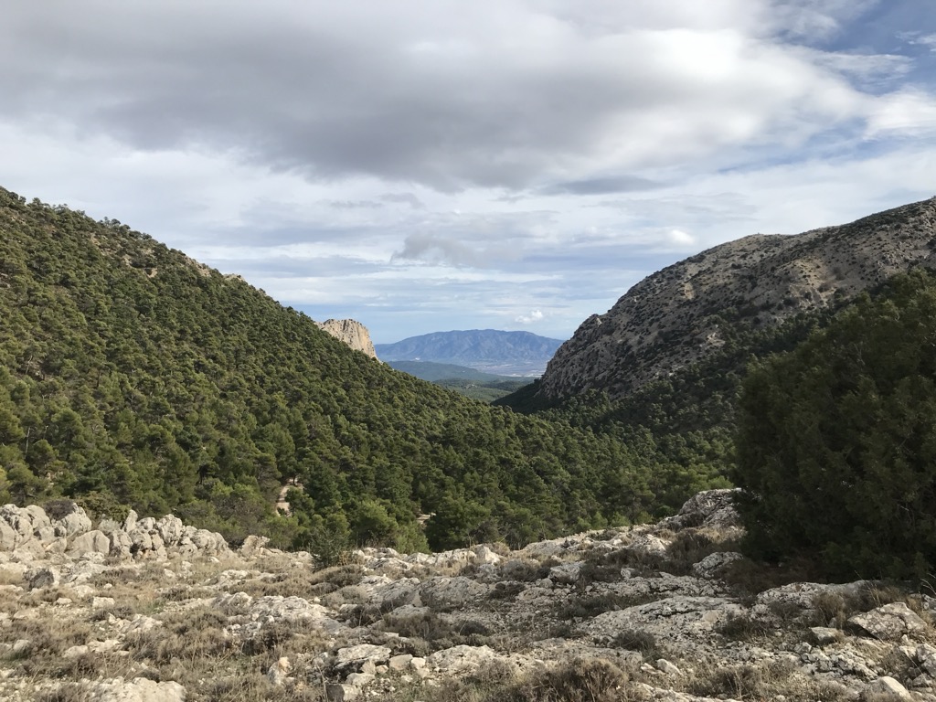 Collado Blanco