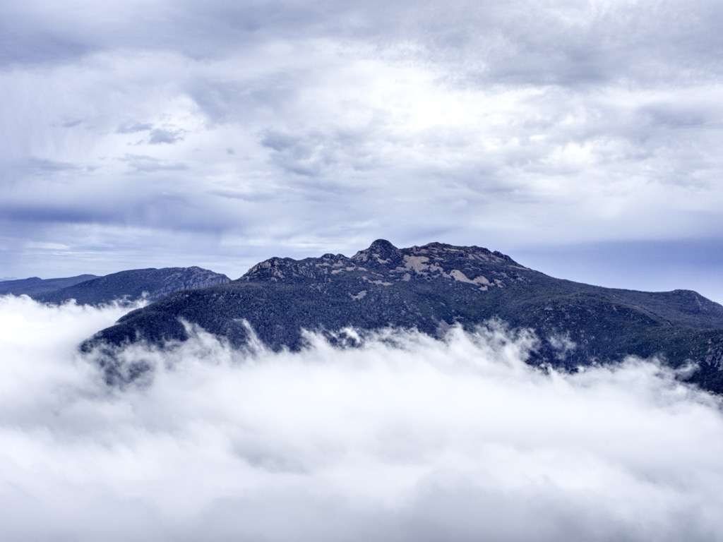 Photo №1 of Collins Bonnet