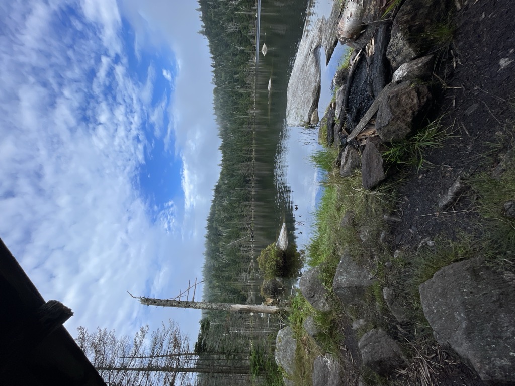 Cooper Kill Pond
