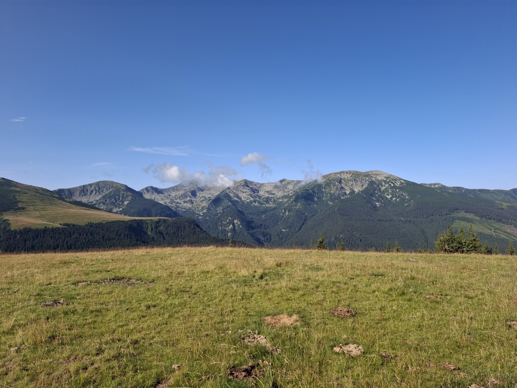 Photo №2 of Coricia