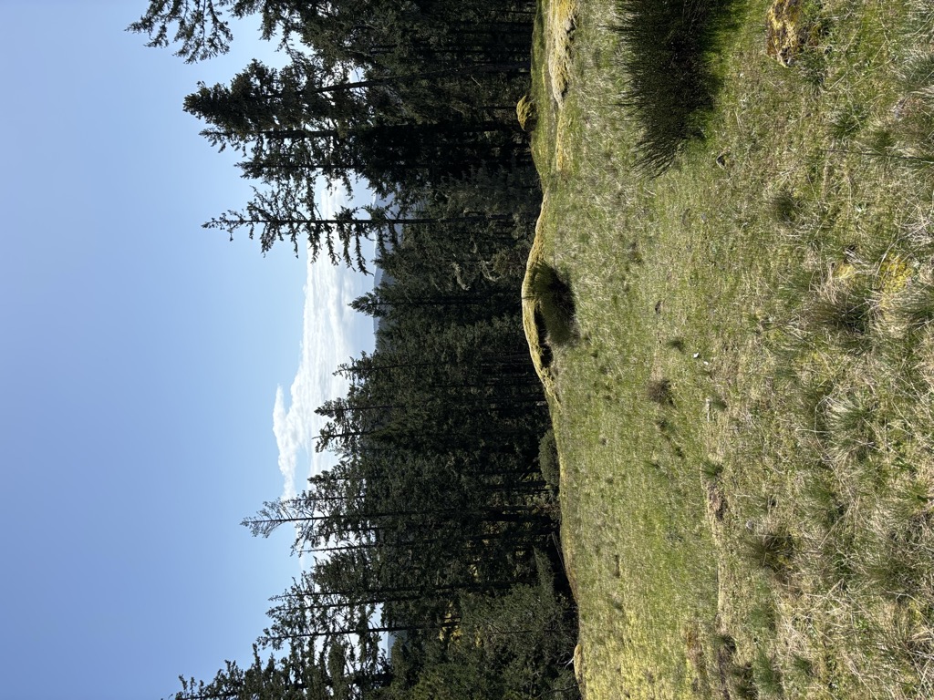 Photo №1 of Corner Hill