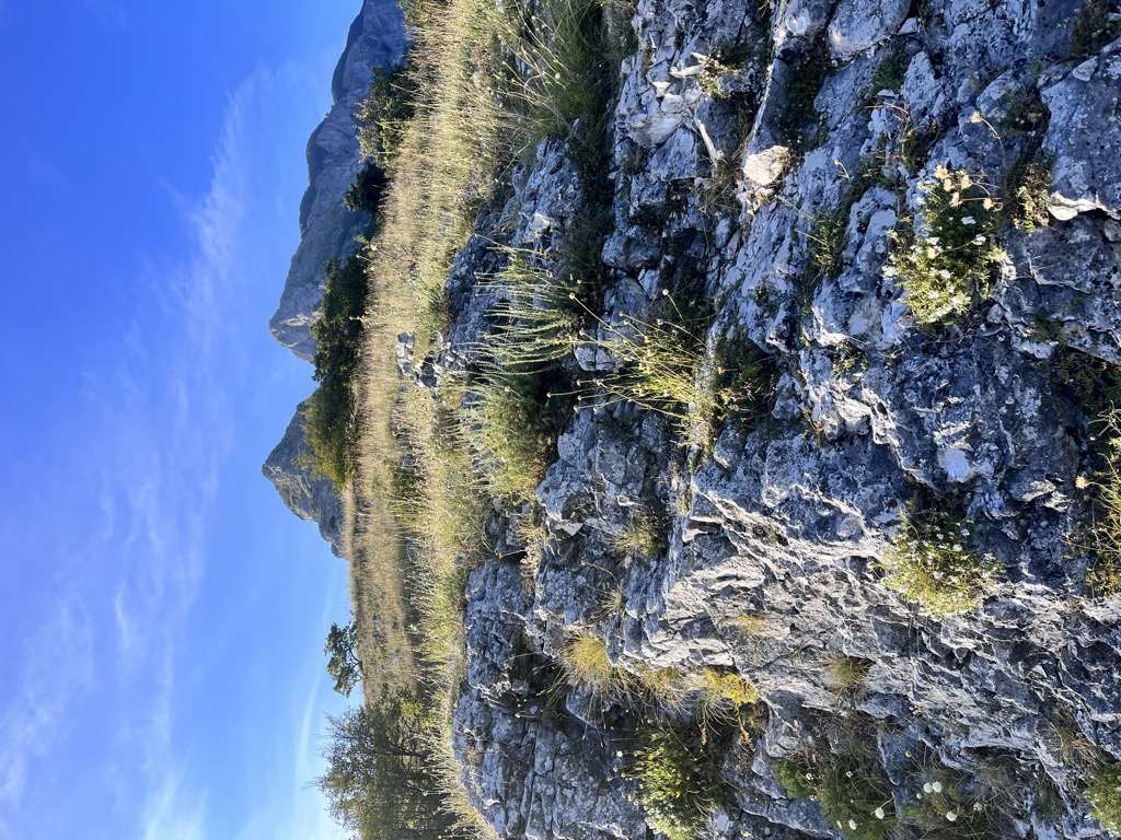 Photo №1 of Corno di Catria