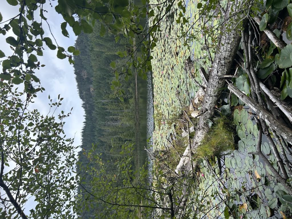 Photo №2 of Crabapple Lake