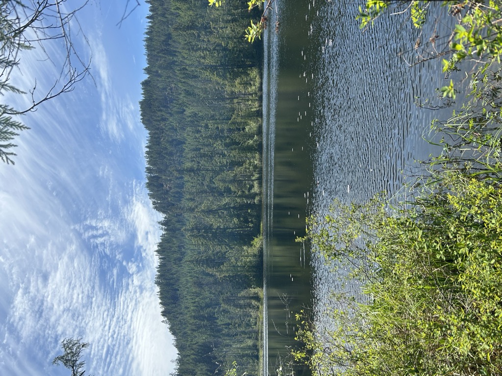 Photo №3 of Crabapple Lake
