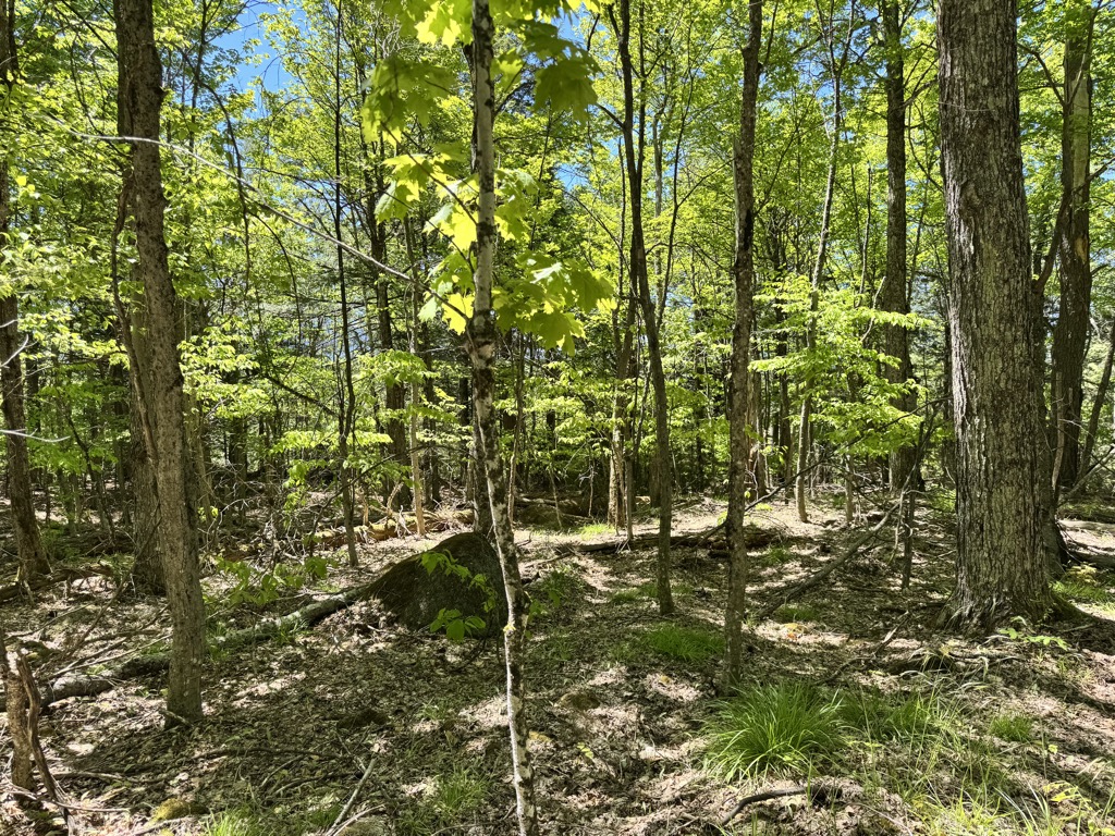 Photo №3 of Cranberry Mountain