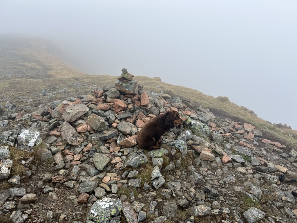 Photo №1 of Creise