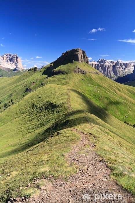 Photo №1 of Crepa Neigra