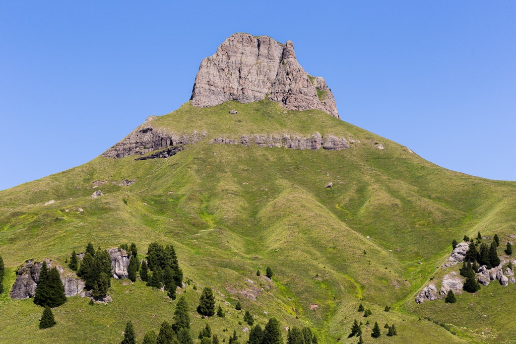 Photo №2 of Crepa Neigra