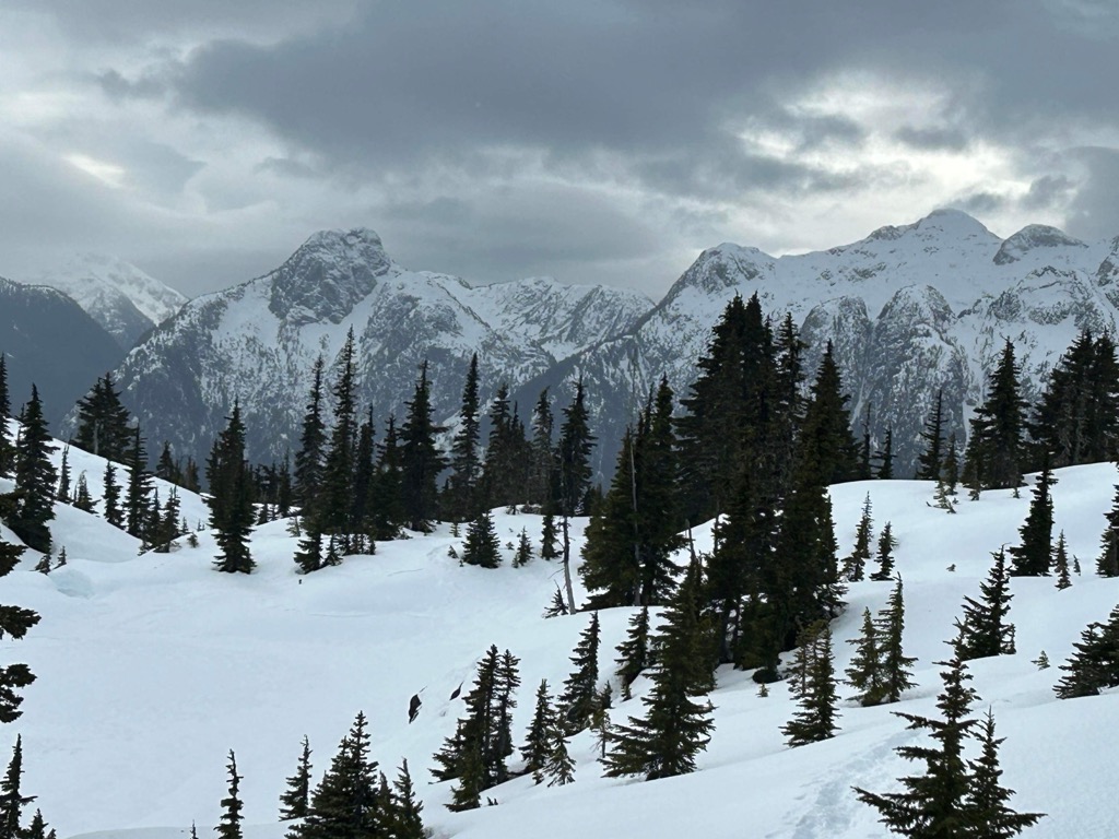 Photo №1 of Crest Mountain