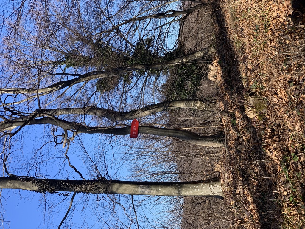 Photo №1 of Črni vrh