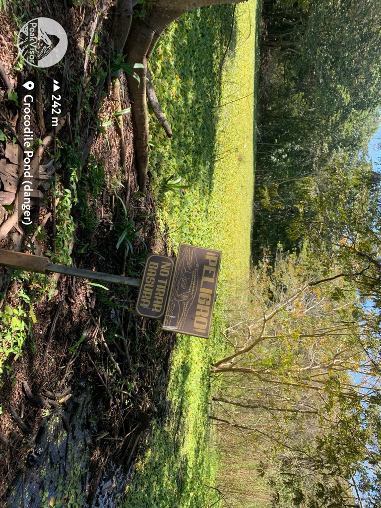 Crocodile Pond (danger)