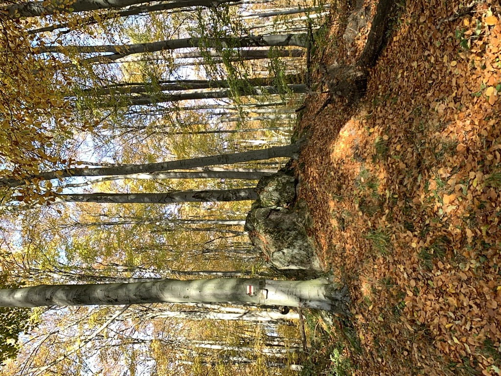 Photo №2 of Csapassuk szikla