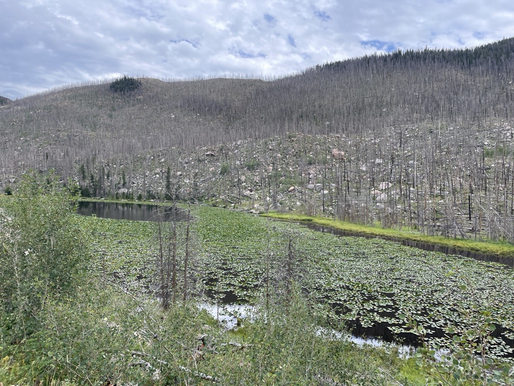 Photo №2 of Cub Lake