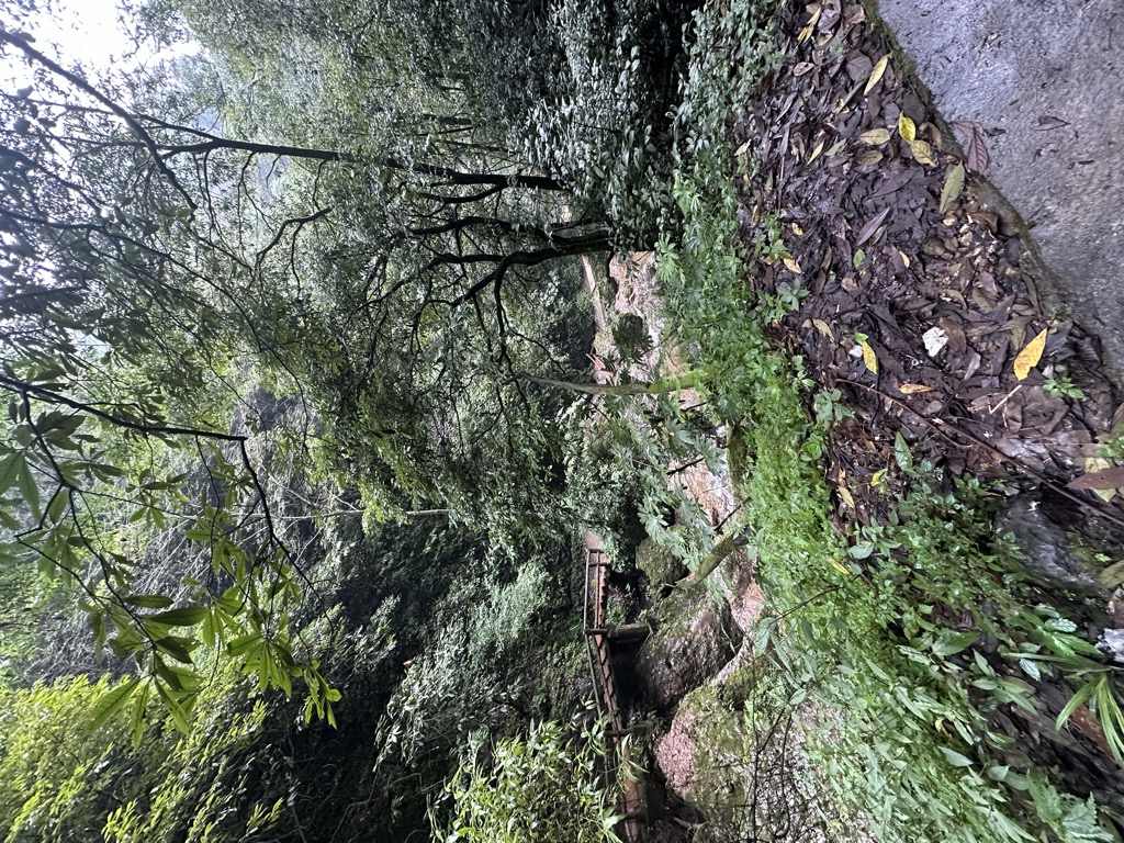 Photo №2 of Cuì Yìng Hú