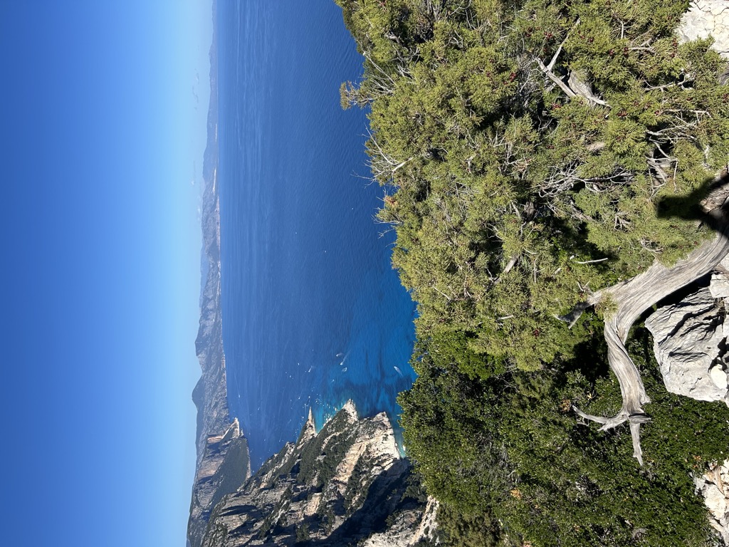 cuile-salinas