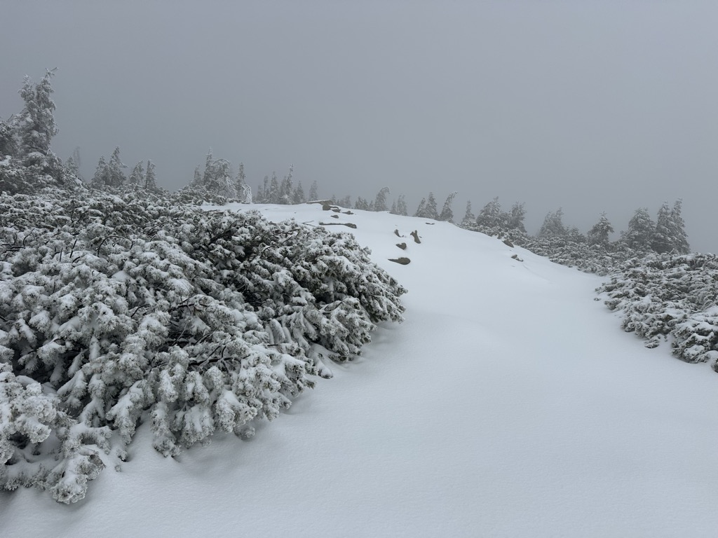 Photo №1 of Czarna Kopa / Svorová hora