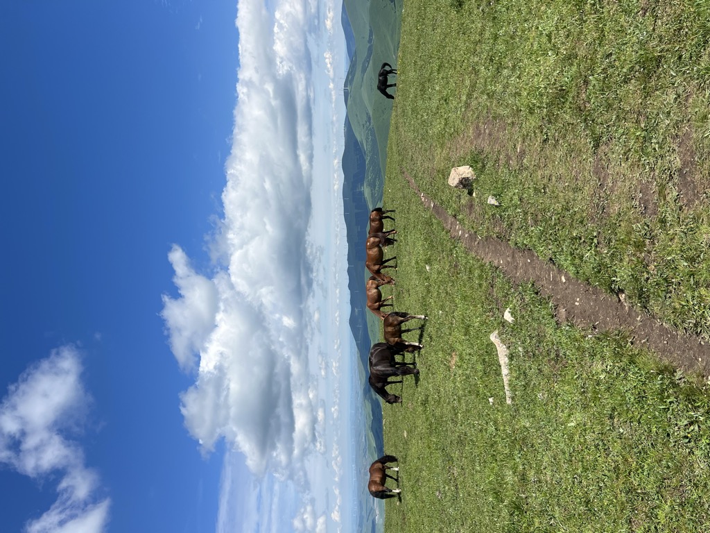 Photo №1 of Dōng Hóu Dǐng