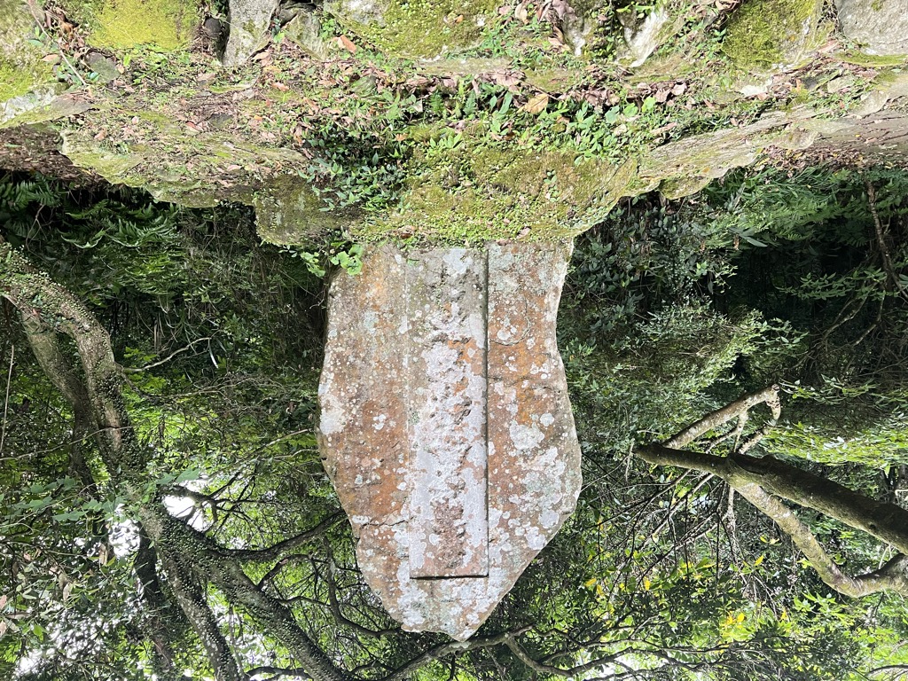 Photo №3 of Dǐng Jīng Què Shān