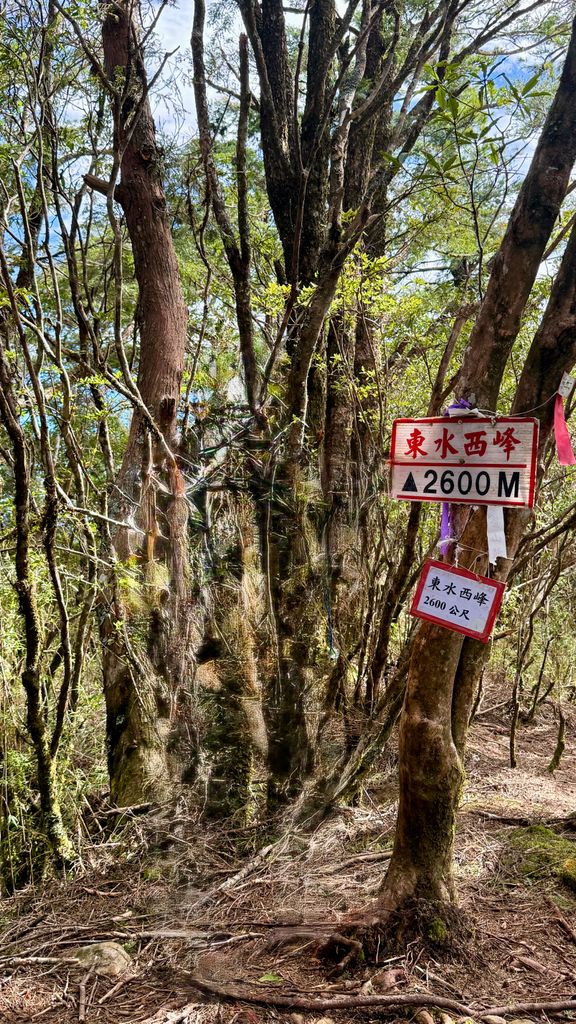 Photo №1 of Dōng Shuǐ Shānxī Fēng