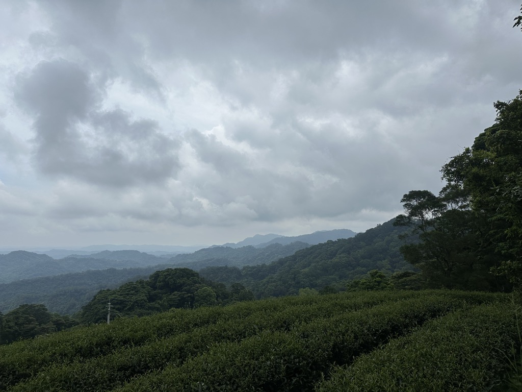 Photo №5 of Dà Duànyá