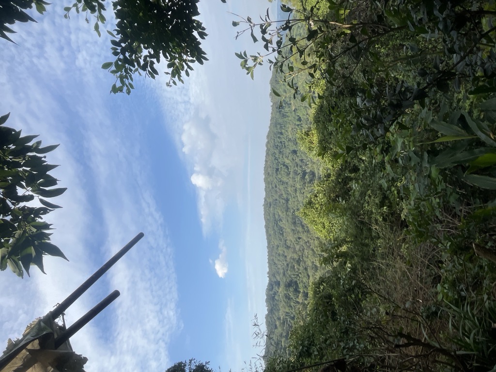 Photo №4 of Dà Qīng Kēng Lún