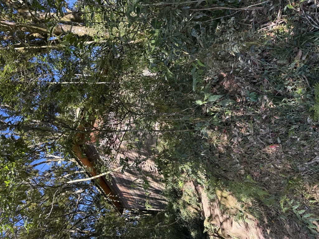 Photo №1 of Dadongshan