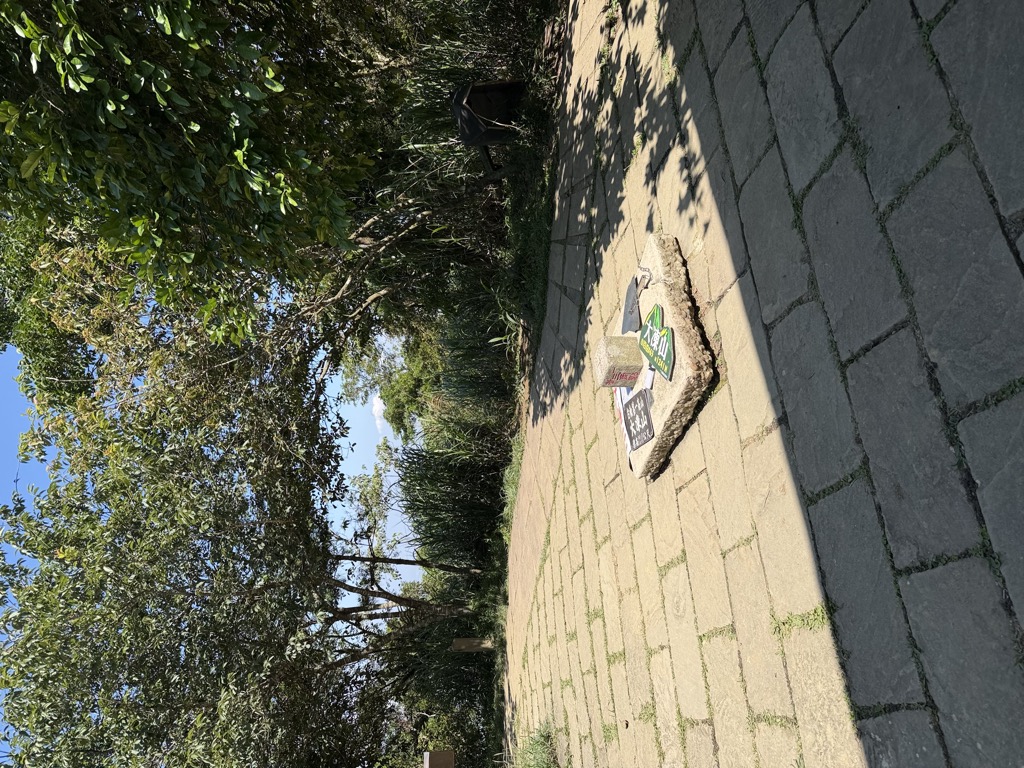 Photo №2 of Dadongshan