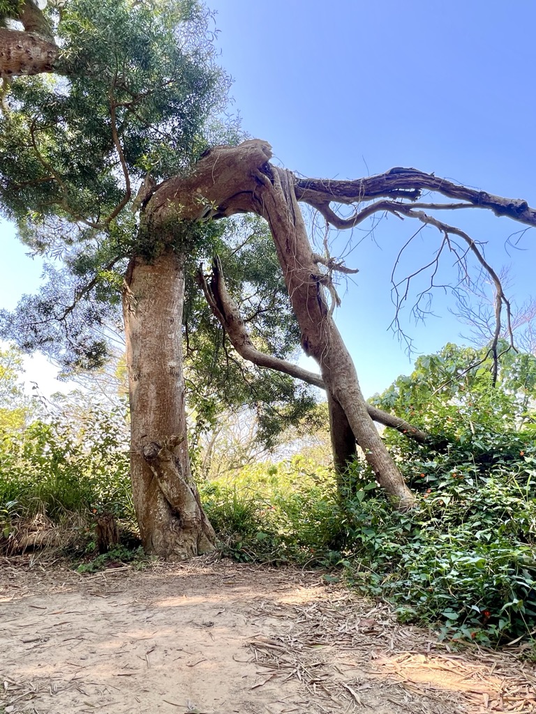 Photo №2 of Dagangshan