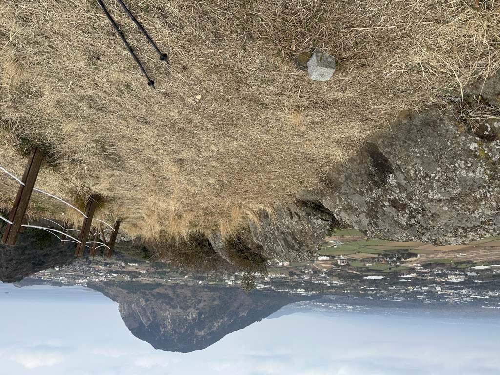 Photo №1 of Dan-san