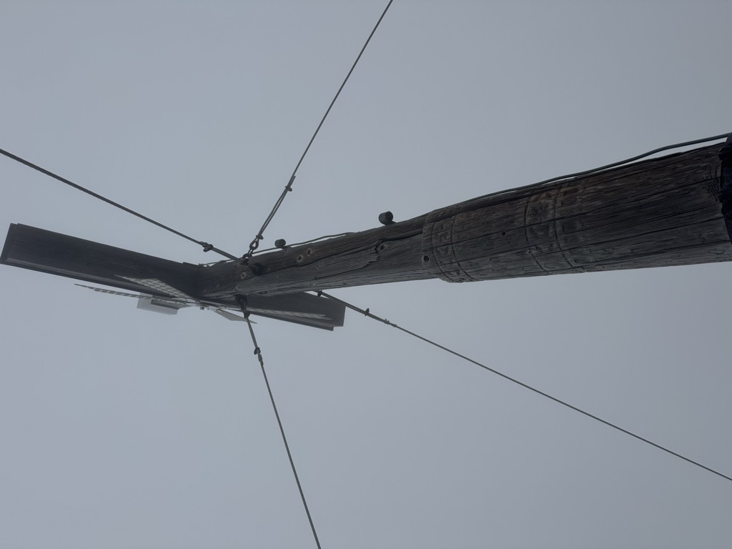 Photo №1 of Daniel