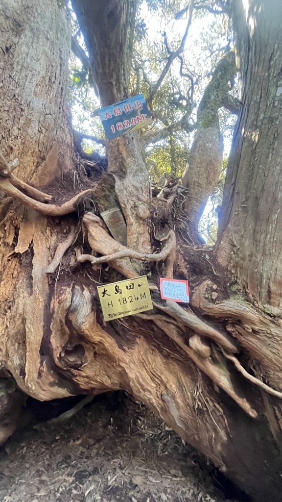 Photo №2 of Daotianshan