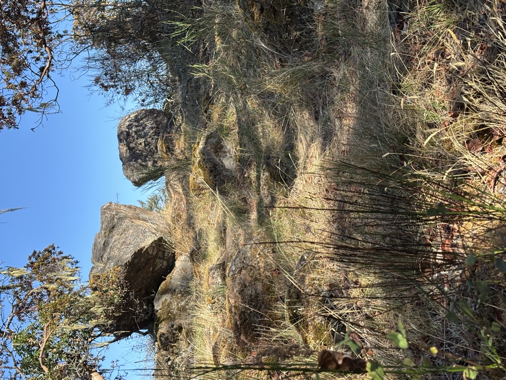 Photo №2 of David's Delight