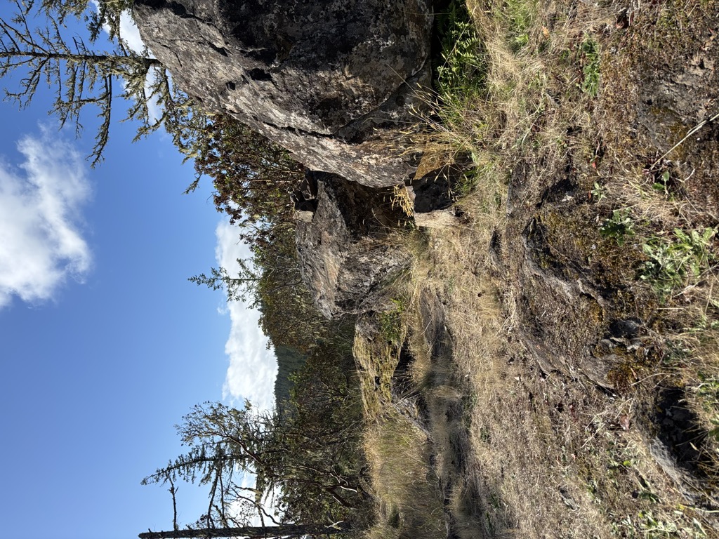 Photo №1 of David's Delight