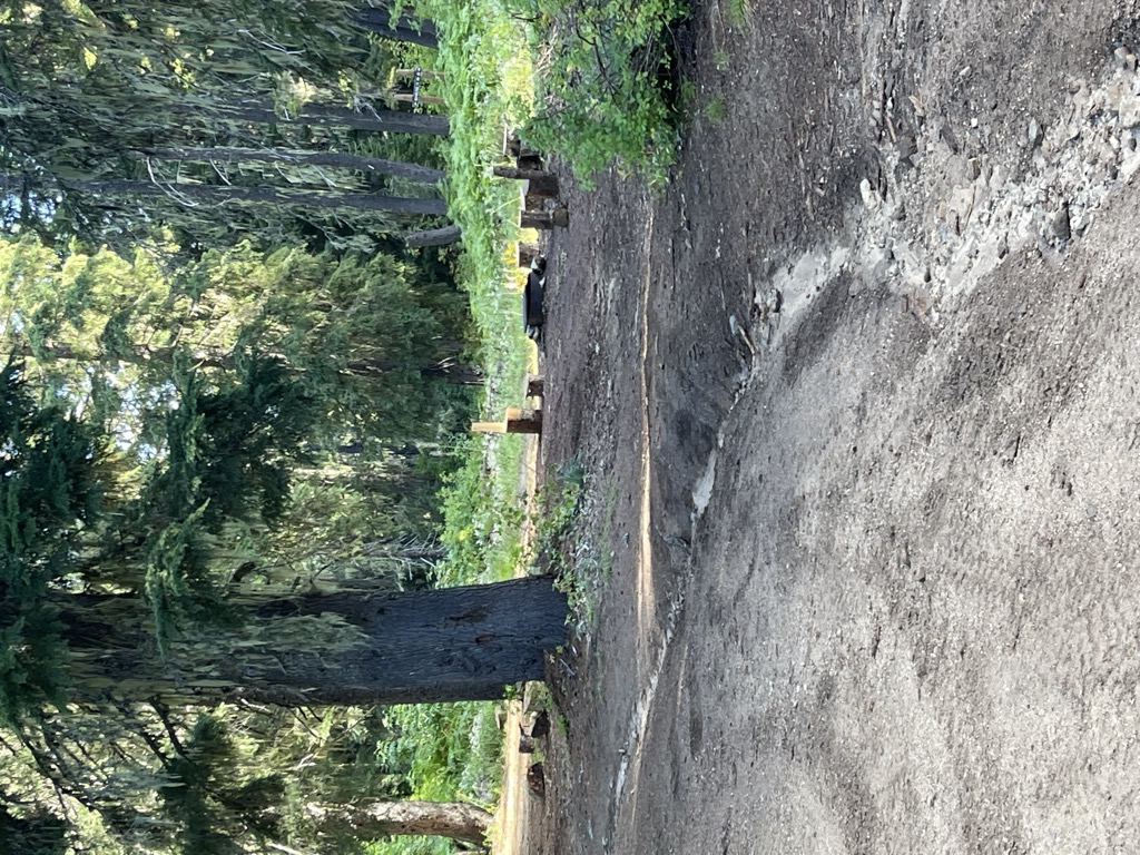 Deep Saddle