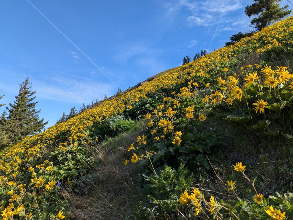Photo №2 of Denali