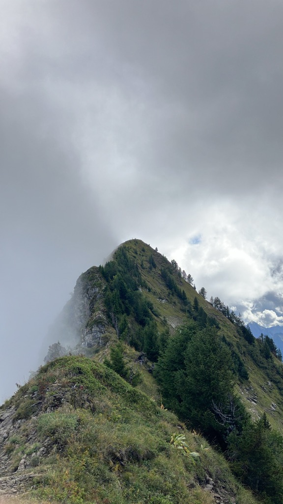 Photo №1 of Dent de Cons