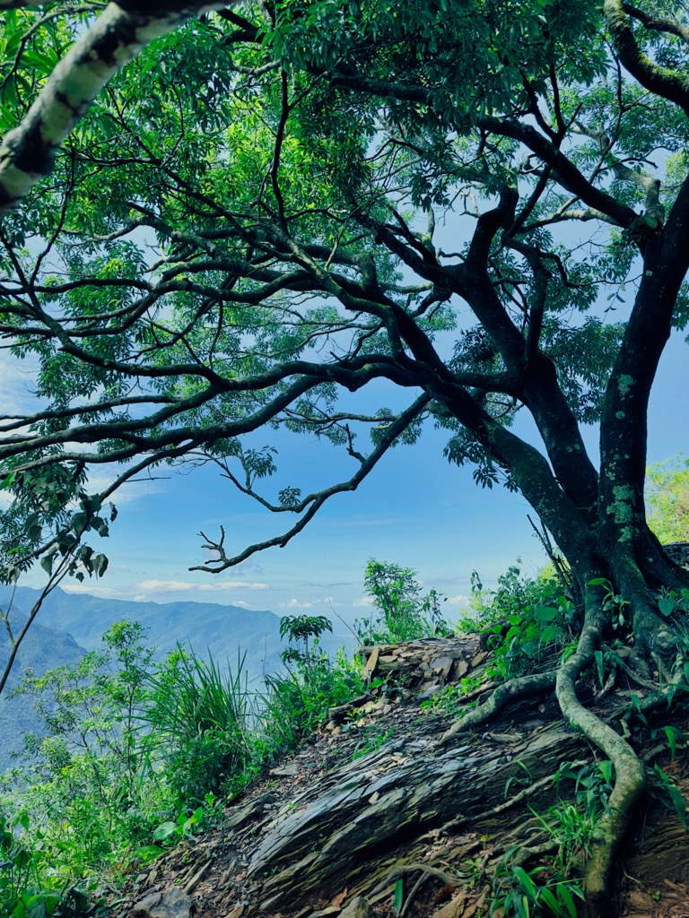 Photo №8 of Déwén Shān