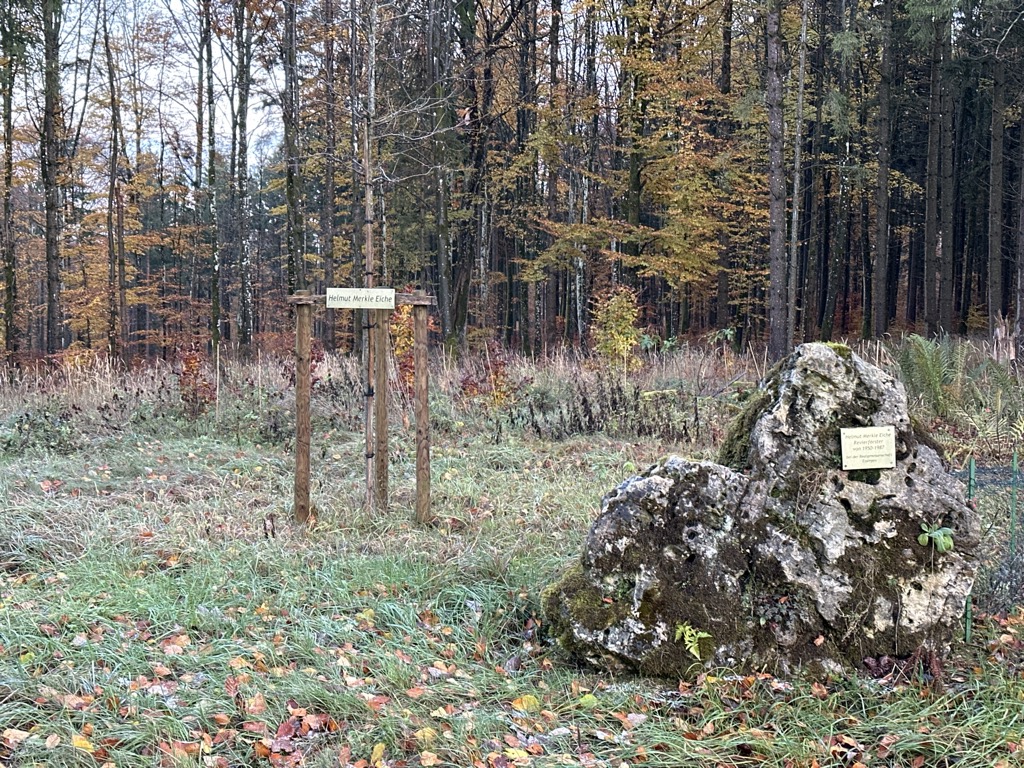 dickbantelhutte-1