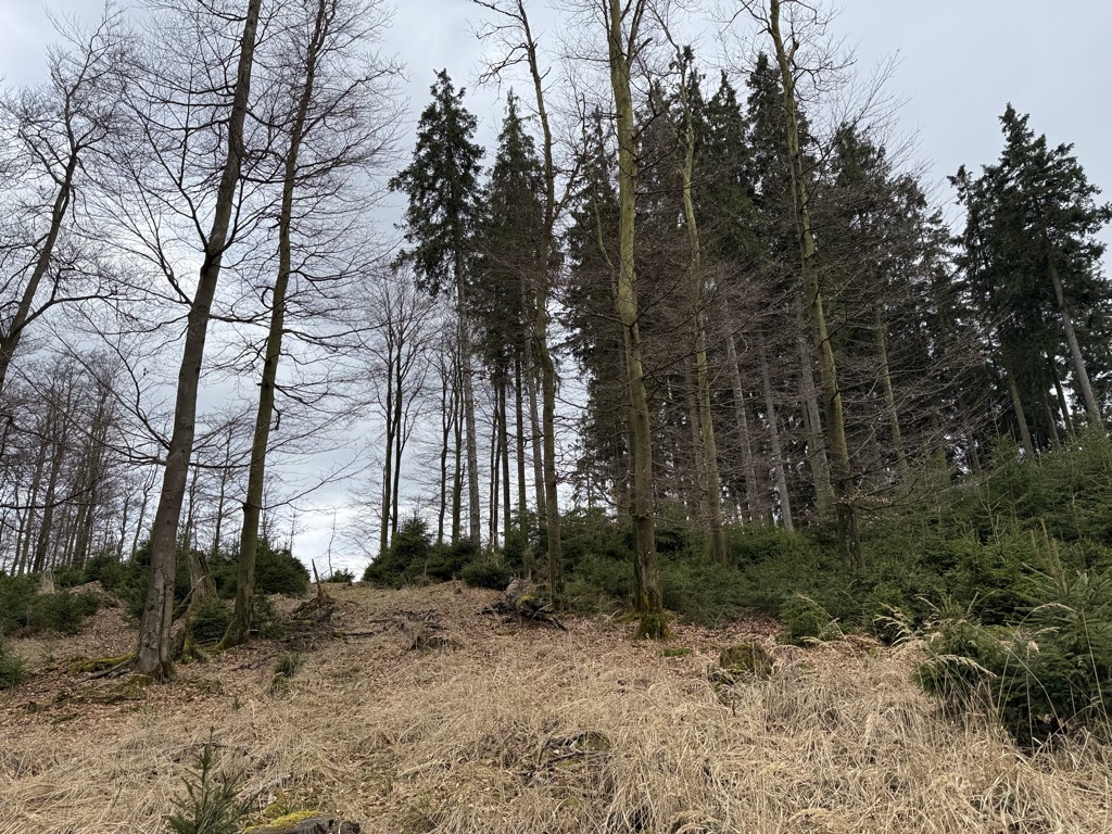 Photo №2 of Dillenscheid