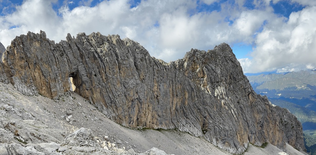 Photo №1 of Dinosaur