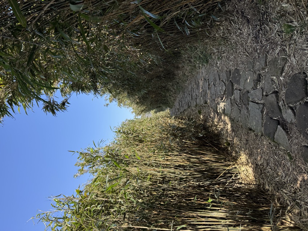 Photo №2 of Dìrè Kǒu