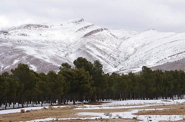 Photo №1 of Djebel Ksel