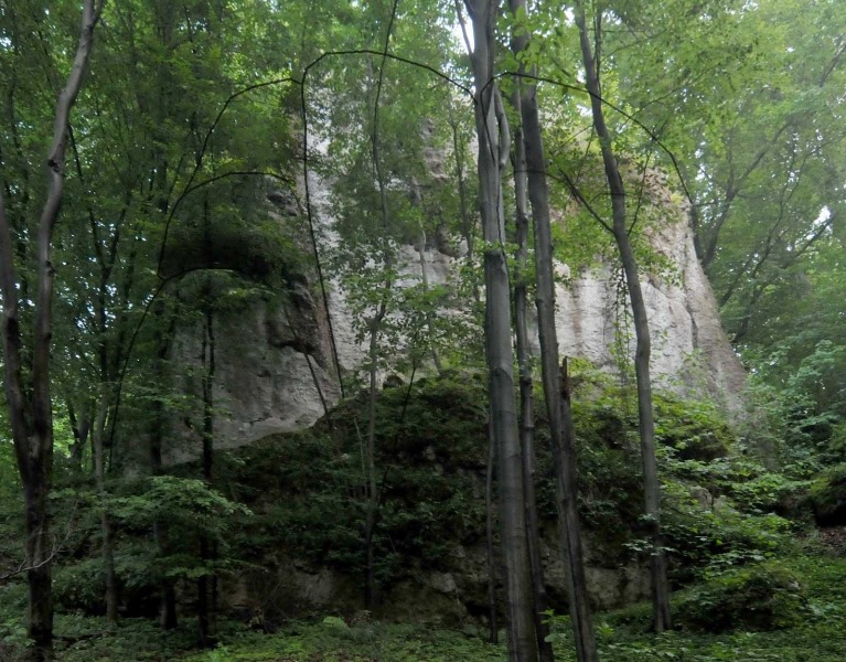 Photo №2 of Długa Góra