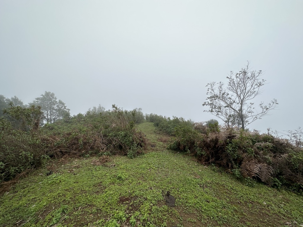 Photo №2 of Doi Pae Poe