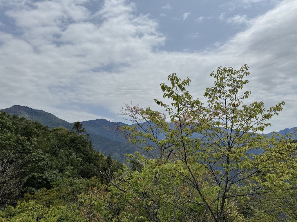 Photo №1 of Dongtengzhishan