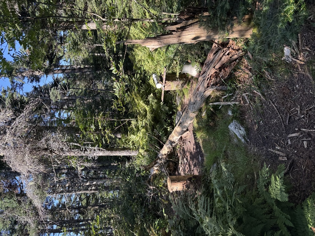 Photo №1 of Dorset Mountain