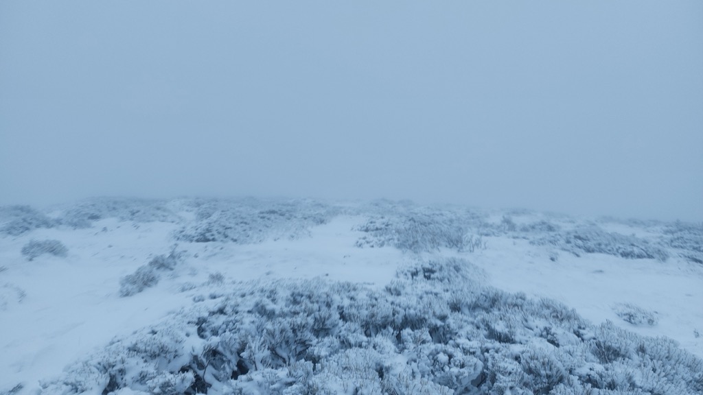 Photo №1 of Dos Castillas