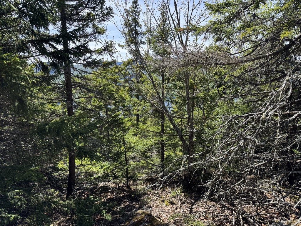 Photo №4 of Douglas Mountain